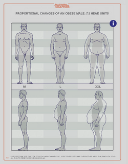 Anatomyforsculptors_2014_Page_061.png
