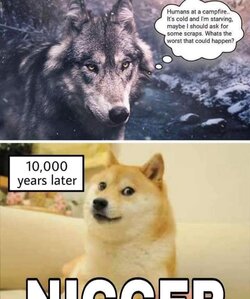 doge-wolf-transformation-nigger.jpg