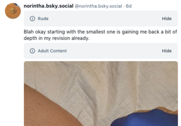 13.png