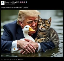 Screenshot_000000370.jpeg