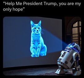 GXDg7rYbEAMFGKJ.jpeg