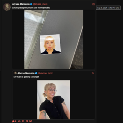 1725913560966.png