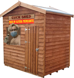 1725959008745.png