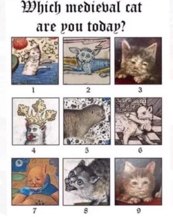 359a1e36e9b69f59.png