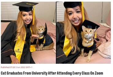 catgrad.jpg