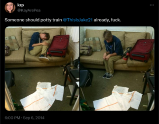 FireShot Capture https___x.com_KayArePea_status_5 - krp on X_ _Someone should potty tra_ - 37 ...png