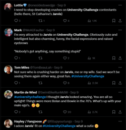 insane people.png