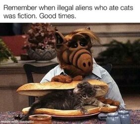 1000004608.jpg