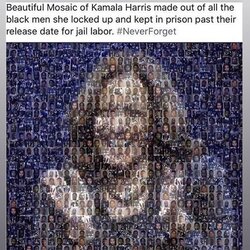 kamala mosaic.jpg