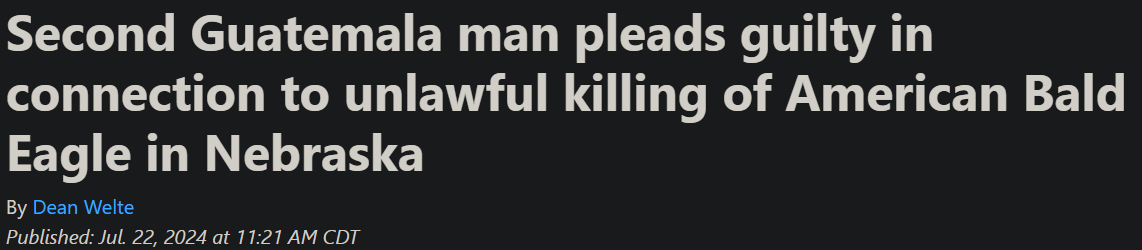 1726074646202.png