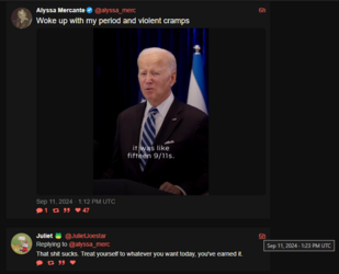 1726086389133.png