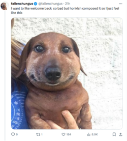 1726106771995.png