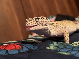 IMG_7644.jpeg