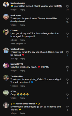 3.PNG