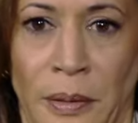 image-14.png