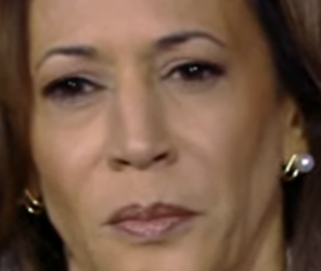 image-13.png