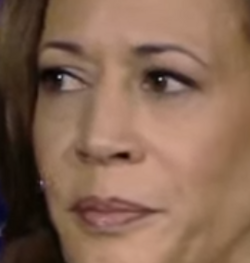 image-10.png