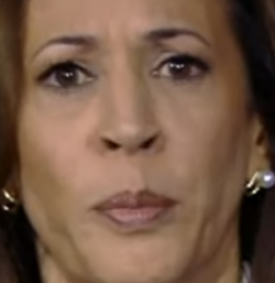 image-4.png