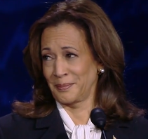 image-1.png
