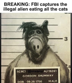 1726194180105.png