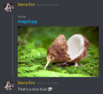 Capture+_2019-01-15-23-12-51-1.png
