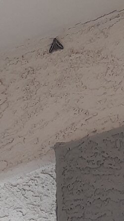 20240831_074902.jpg