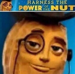 1690434603129787.jpg