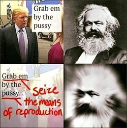 IMG_0707.jpeg
