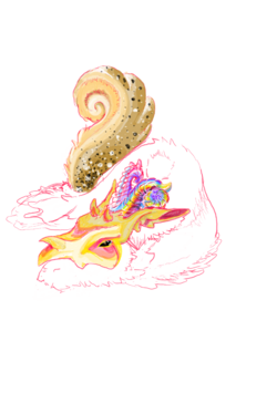 63a35a98-24c5-42d0-adf9-f58b36d19dd1.png