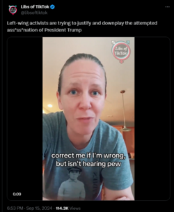Screenshot 2024-09-15 192508.png