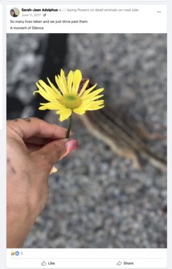sa-626.png sa-626.png