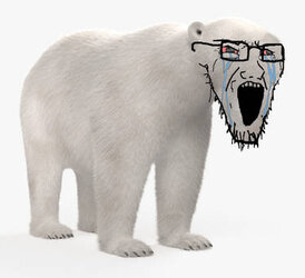 polar_soy_by_soygemvault_df701kg-375w.jpg