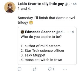 novel.jpg