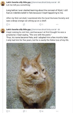 pete.jpg