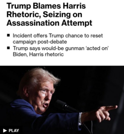 bloomberg-1.png