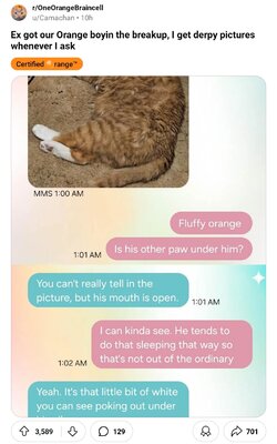 Screenshot_20240916_183127_Reddit.jpg