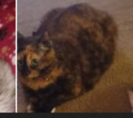 1726562812264.png
