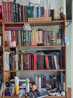 20240917_110441.jpg