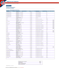 docquery.fec.gov_cgi-bin_forms_C00821348_1812006_sb_ALL (1).png