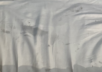 bossman sheets.png