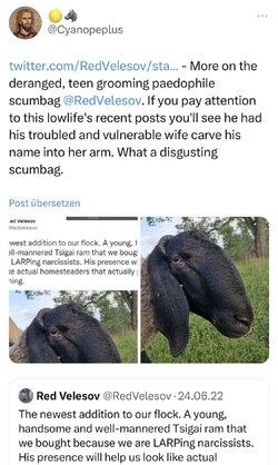 GXs1yIvW0AAzlDm.jpg