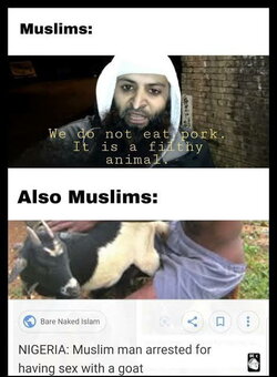 1000002478.jpg