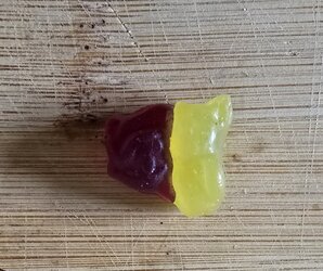 20240917_145334.jpg
