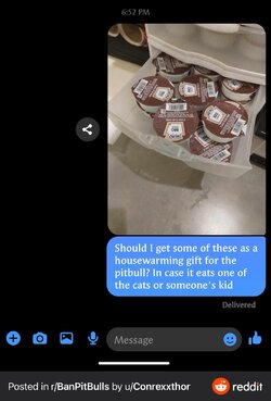 IMG_8273.jpeg