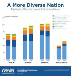 age-race-distribution.jpg
