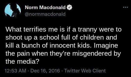 norm_tranny_edit.jpeg