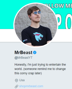 FireShot Capture, MrBeast (@MrBeastYT) - Twitter, 09.png