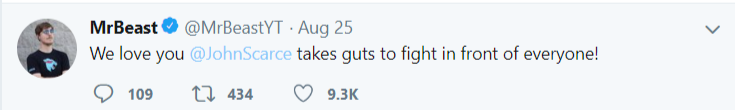 FireShot Capture, MrBeast (@MrBeastYT) - Twitter, 15.png
