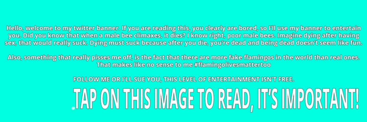 1500x5001.png