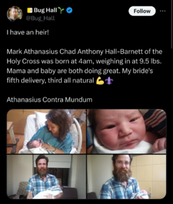 Screenshot_20240918-140025.png